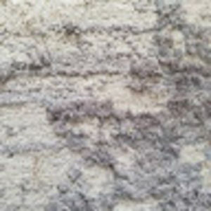 Meet your Posher, Monika